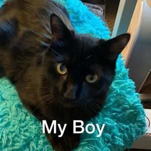 Meet your Posher, Vicki